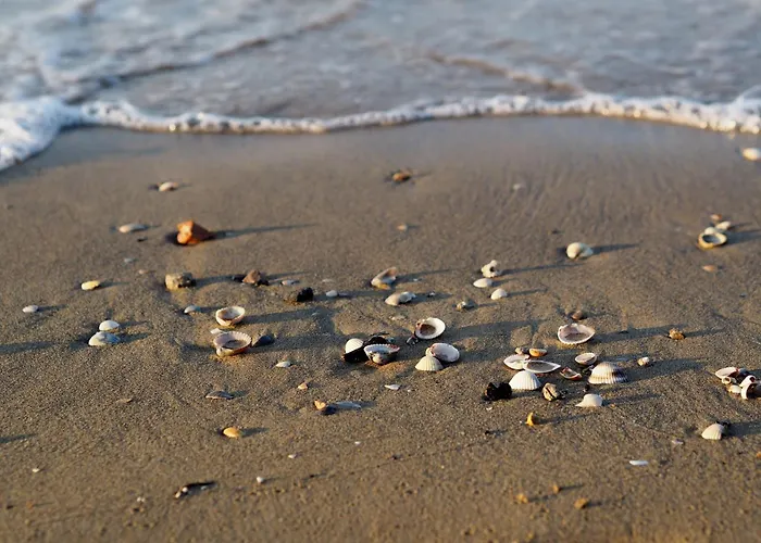 Appartamento Seaview Delight - 2 Bedroom In Bibione